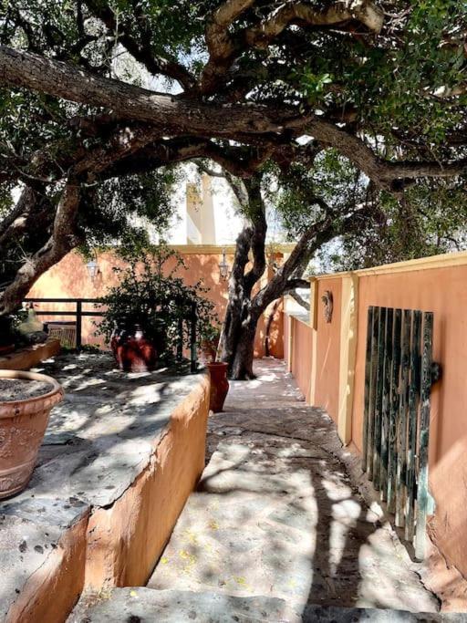 Villa Antonia Calvi  Kültér fotó