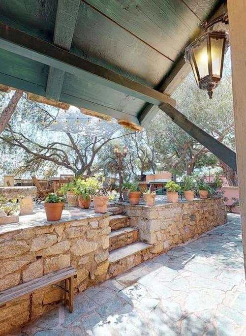 Villa Antonia Calvi  Kültér fotó