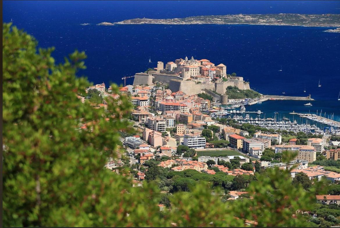 Villa Antonia Calvi  Kültér fotó